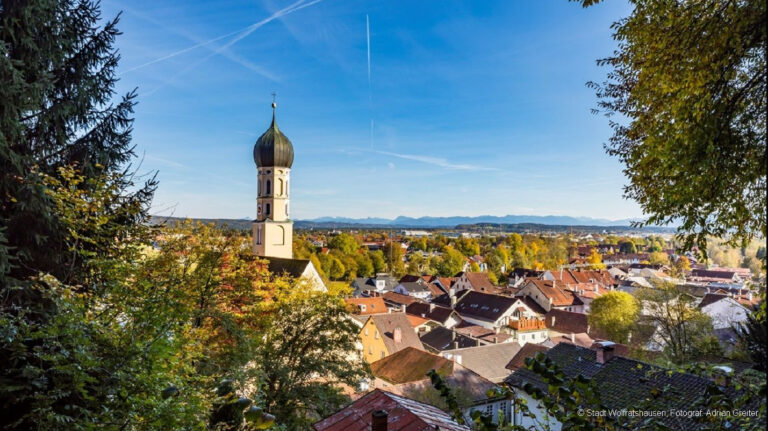 Panoramerblick auf WOR vom Bergwald 4 768x431